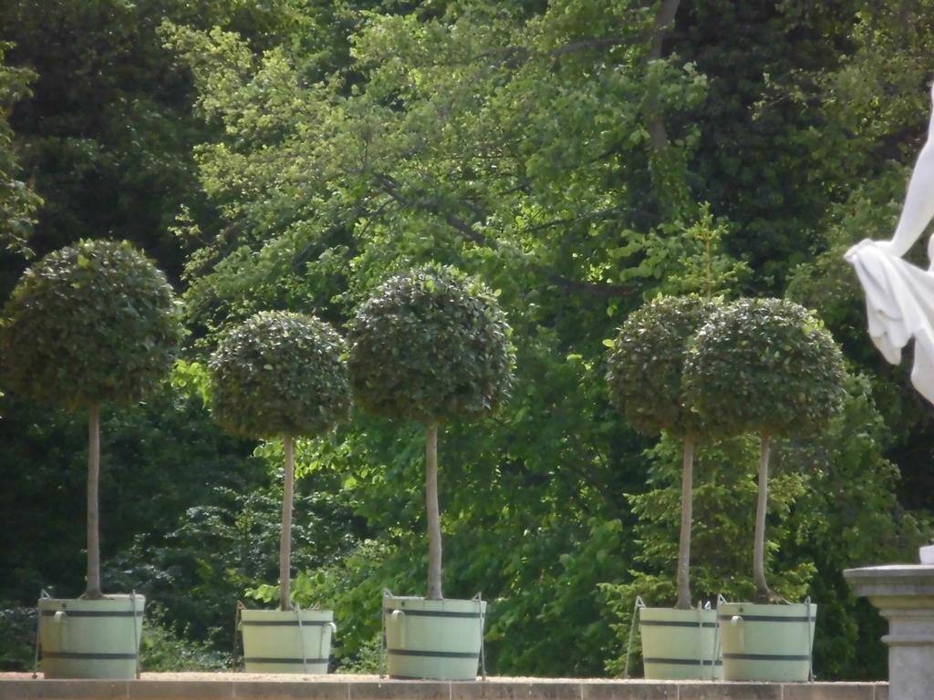 Schlossparkferienwohnungen Rheinsberg Mit Garten Exterior photo